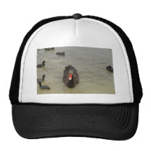 Black Swan Trucker Hats