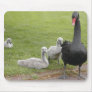 Black Swan with her Young Mouse Mat