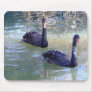 Black Swans Mouse Pad