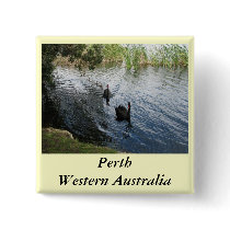 Black Swans, Perth Pins