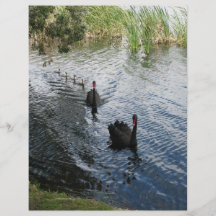 Black Swans, Perth Custom Flyer