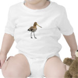 Black-Tailed Godwit Baby Creeper