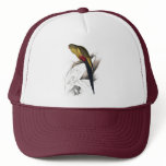 Black-Tailed Parrakeet by Edward Lear hats