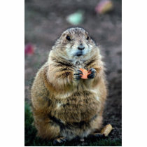 Black-tailed prairie dog, Sonoran Desert Museum, A Cut Outs