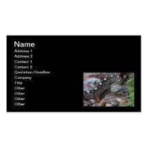Black-tailed Rattlesnake Business Card Templates