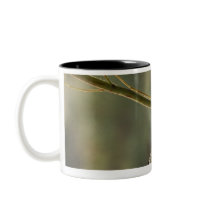 Black-tailed Skimmer Coffee Mugs