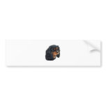 Black & Tan bumper stickers