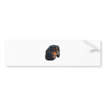 Black & Tan Bumper Stickers