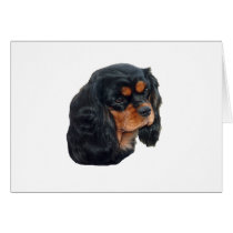 Black & Tan Cards