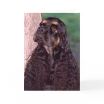 Black & tan Champion Cocker Spaniel greeting card