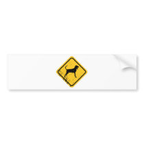 Black & Tan Coonhound Bumper Stickers