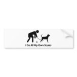 Black & Tan Coonhound bumper stickers
