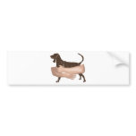 Black & Tan Coonhound bumper stickers