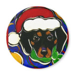 Black & Tan Dachshund magnets