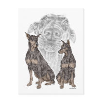 Black & Tan Doberman Pinscher Dog Art Postcards