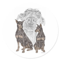 Black & Tan Doberman Pinscher Dog Art Round Sticker