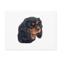 Black & Tan Postcard