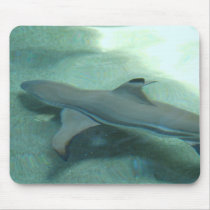 Black Tipped Shark Mouse Pads