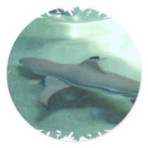 Black Tipped Shark Stickers