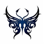 Black to blue butterfly magnet. photo sculpture