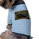 Black toad pet clothing