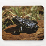 Black toad mousepads