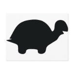 black turtle icon post card