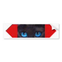 Black Tuxedo Cat Butterfly Painting - Multi