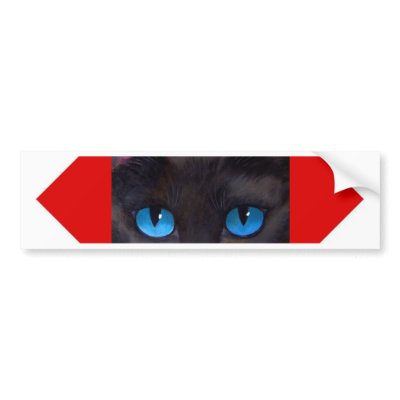 Black Tuxedo Cat Butterfly Painting - Multi by JUDERM