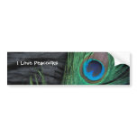 Black Velvet Peacock Feather Bumper Sticker bumper stickers