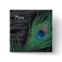 Black Velvet Peacock Feather Still Life Photograph