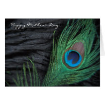 Black Velvet Peacock Feather Still Life Photograph Greeting Cards
