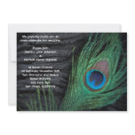 Black Velvet Peacock Wedding Invitation