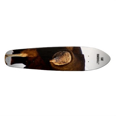 Black Vultue Portrait Skateboard, Got Roadkill?... by Jorgeinthewater