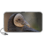 black vulture mini speakers