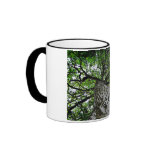 Black Walnut Trunk and Branches Coffee Mugs