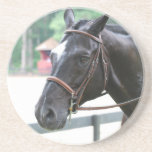 Black Warmblood  Coaster