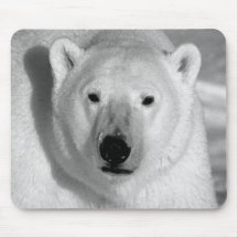 Black & Whit Polar Bear Mouse Pads