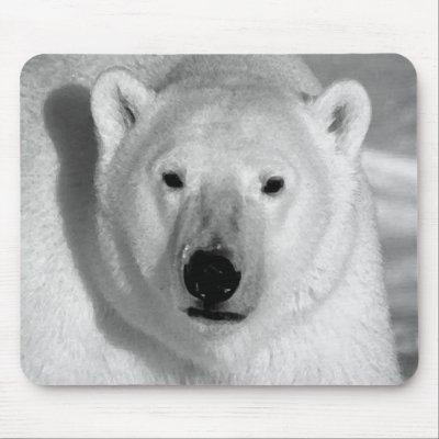 Black & Whit Polar Bear Mouse Pads by made_in_atlantis