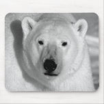 Black & Whit Polar Bear mousepads