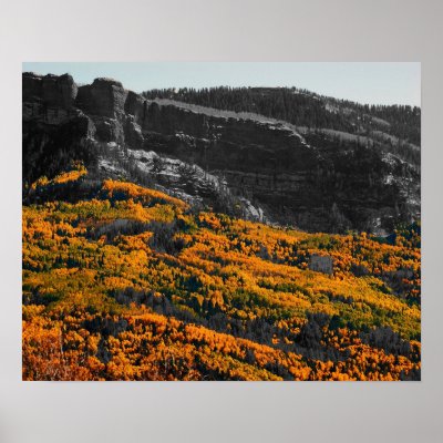 Black White and Gold Print by ShotByAWolf