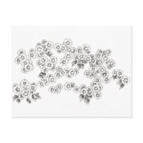 Black White Asters Post Card Pen and Ink Flowers