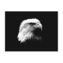 Black & White Bald Eagle Postcards