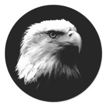 Black & White Bald Eagle Stickers