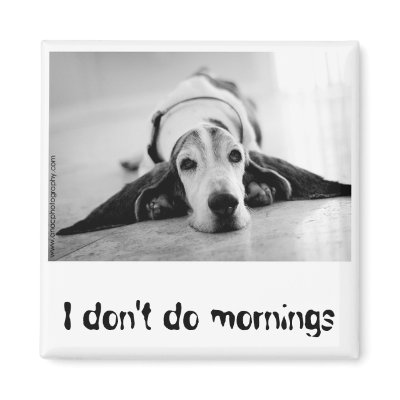 Black & White Basset Hound Magnet by azbassetrescue