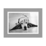 Black & White Basset Postcard