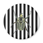 Black & White Beetle on Stripe Refrigerator Magnets