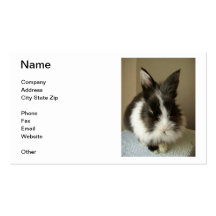 Black & White Bunny Rabbit Business Card