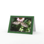 Black & White Butterfly cards