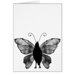 Black & White Butterfly Raven